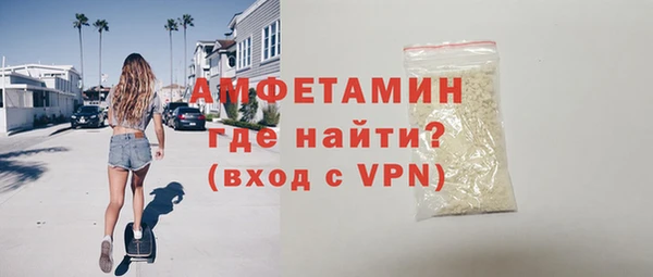 спиды Гатчина