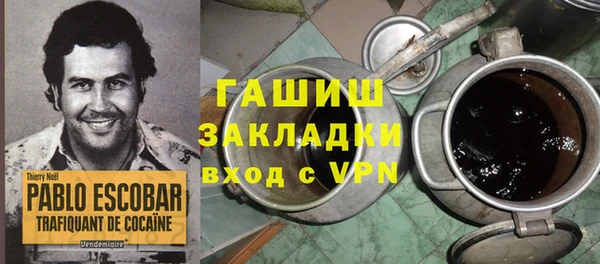 дмт Ельня