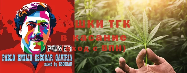 спиды Гатчина