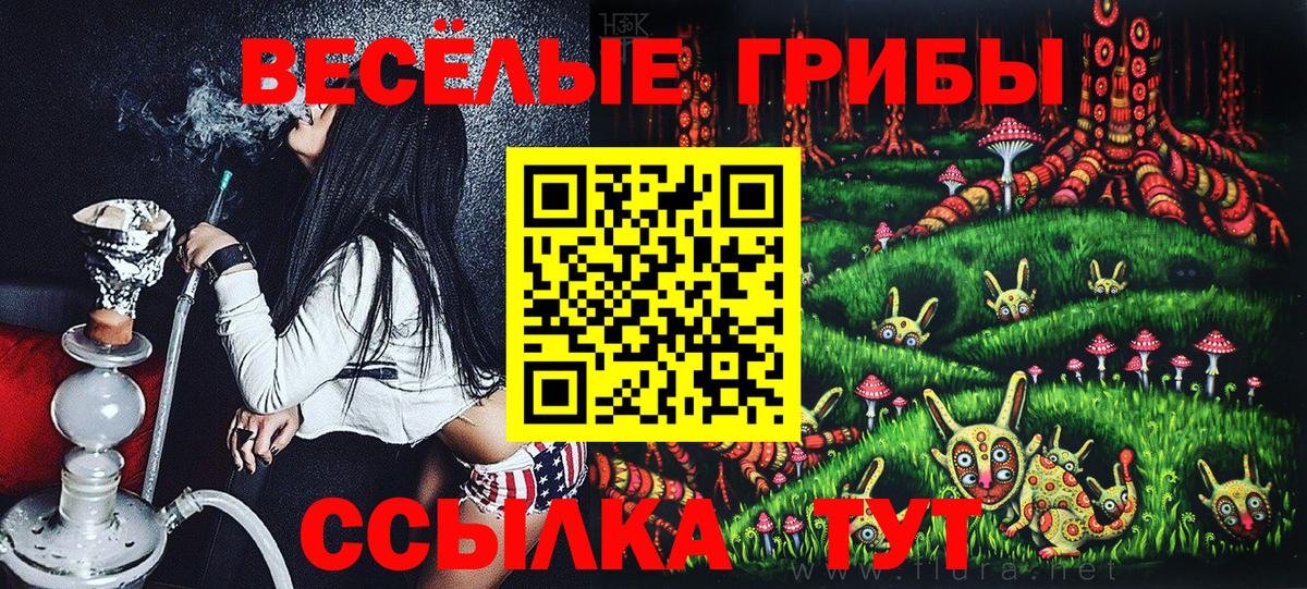Псилоцибиновые грибы Cubensis Заводоуковск