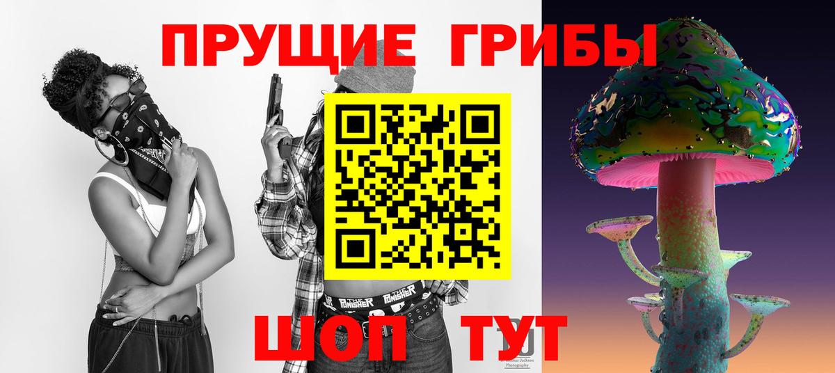 Псилоцибиновые грибы мицелий  Галлюциногенные грибы прущие грибы  Вход с VPN  Заводоуковск 